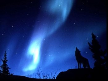 la nuit